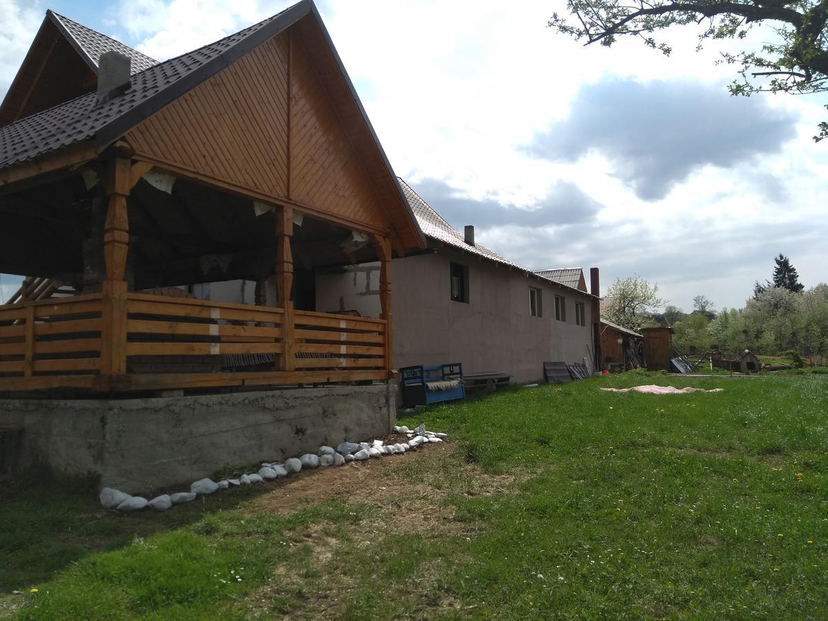 Budeşti Pensiune Agroturistica "Casa Teodora" מראה חיצוני תמונה
