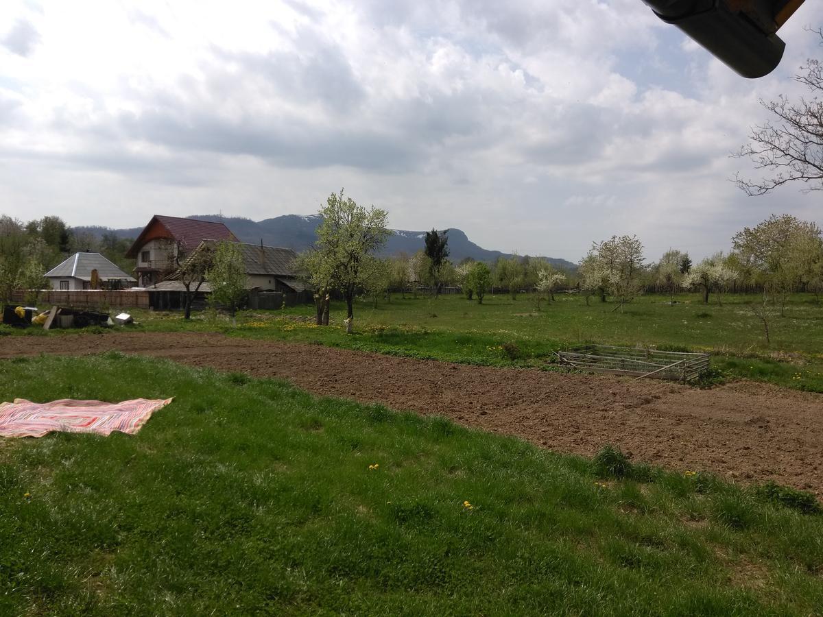 Budeşti Pensiune Agroturistica "Casa Teodora" מראה חיצוני תמונה